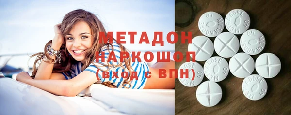 прущие грибы Бородино
