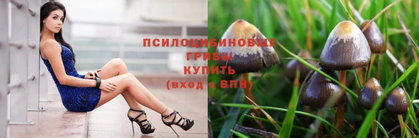 ECSTASY Бронницы