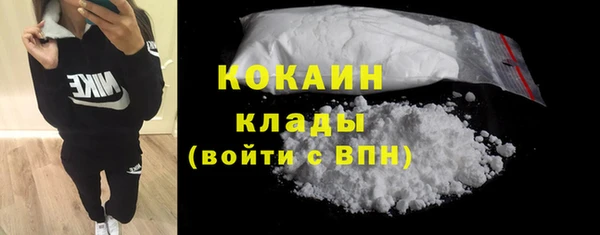 прущие грибы Бородино