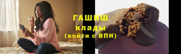 прущие грибы Бородино