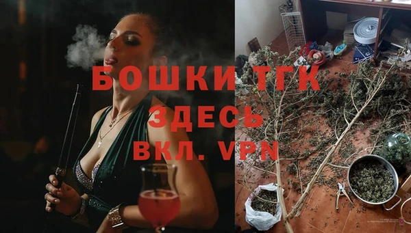ECSTASY Бронницы