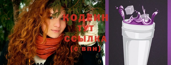 прущие грибы Бородино