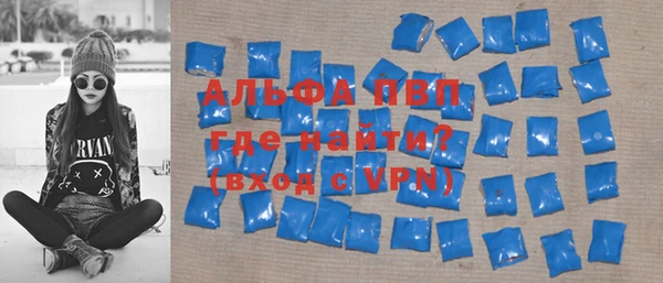 прущие грибы Бородино