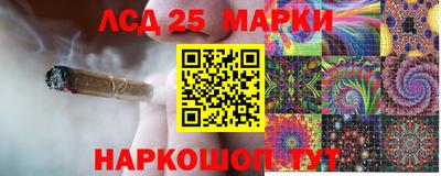 крисы Жуковский