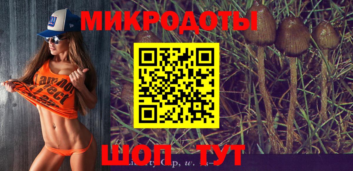 Киров  Галлюциногенные грибы Cubensis  Вход с VPN 